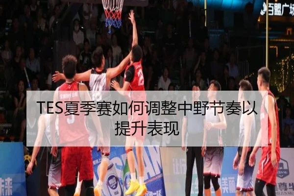 TES夏季赛如何调整中野节奏以提升表现